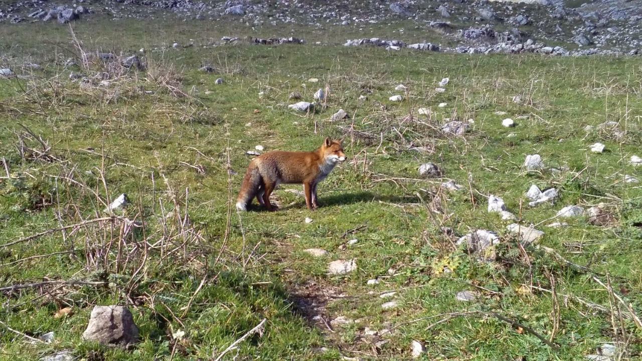 Natour L'Ostello Per I Camminatori Barisciano Exteriér fotografie